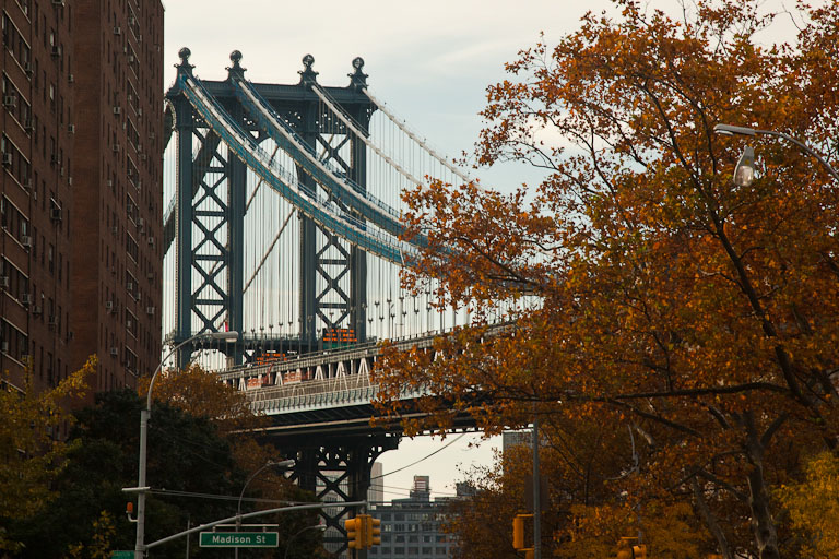 Lhl lower east side field trip 1